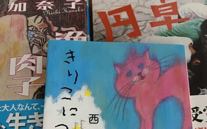 50代女性向け 元気が出る小説５選 西加奈子ほか もずとかべちょろのブログ