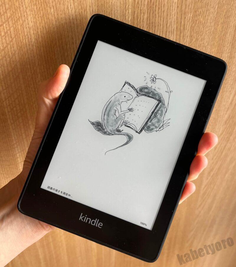 kindleに入れたファイル